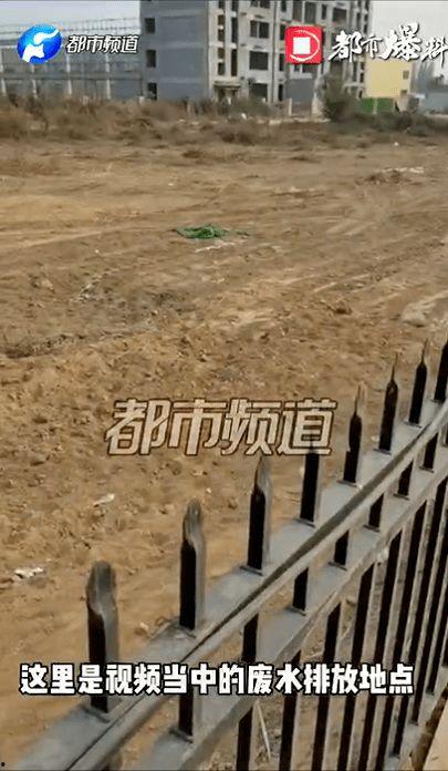 焦作武陟县爆料视频,最新爆料视频揭示惊人真相  第2张