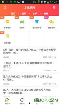 爆哥爆料视频下载网站,一键获取热门视频的秘密通道  第1张